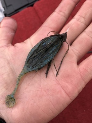 hideup 松本泰明 ブログ写真 2017/03/24