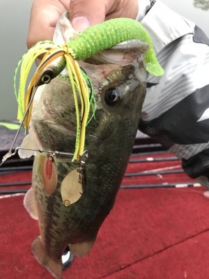 hideup 松本泰明 ブログ写真 2017/11/09