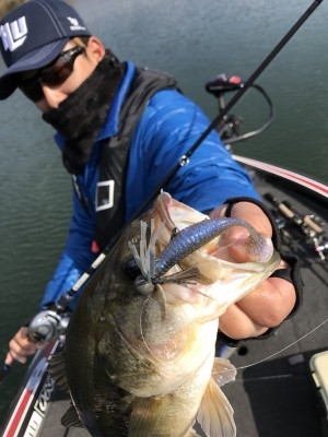 hideup 松本泰明 ブログ写真 2017/11/06