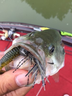 hideup 松本泰明 ブログ写真 2017/09/25