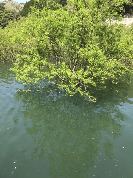 hideup 松本泰明 ブログ写真 2017/04/22