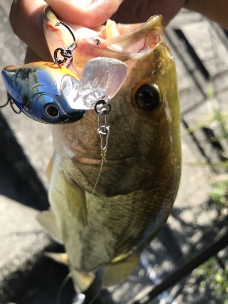 hideup 松本泰明 ブログ写真 2017/08/31