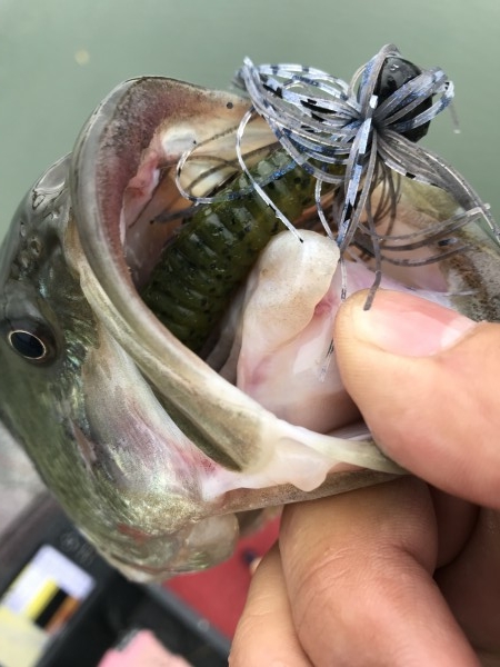 hideup 松本泰明 ブログ写真 2017/11/30