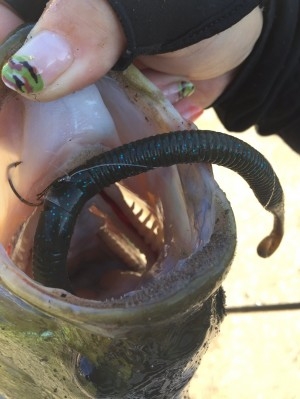 hideup 松本泰明 ブログ写真 2017/09/04