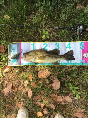 hideup 松本泰明 ブログ写真 2017/05/11