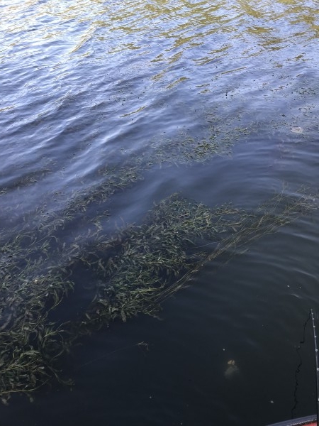 hideup 松本泰明 ブログ写真 2017/10/25