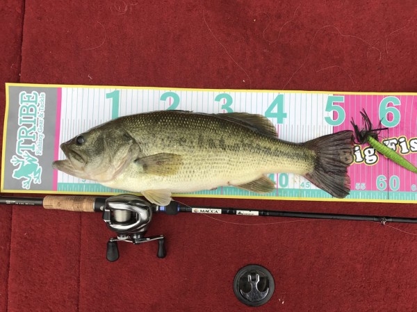 hideup 松本泰明 ブログ写真 2017/07/11