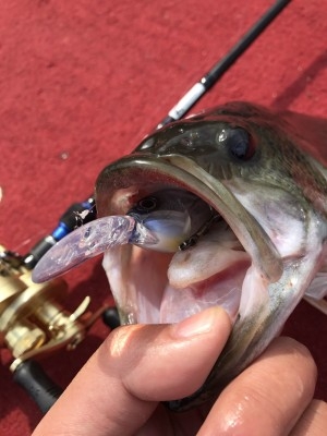 hideup 松本泰明 ブログ写真 2017/03/07