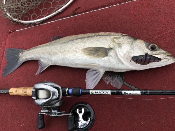 hideup 松本泰明 ブログ写真 2017/10/02