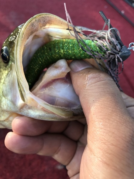 hideup 松本泰明 ブログ写真 2017/09/28