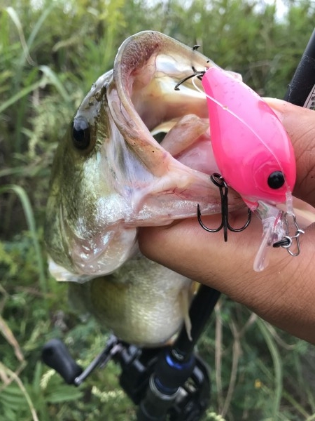 hideup 松本泰明 ブログ写真 2017/10/13