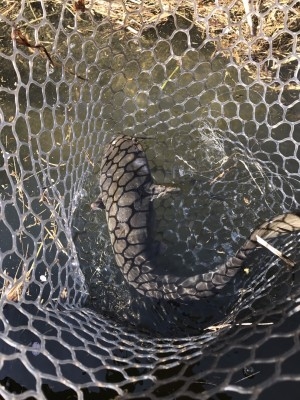 hideup 松本泰明 ブログ写真 2017/04/13