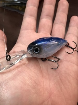 hideup 松本泰明 ブログ写真 2017/03/07