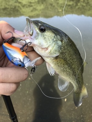 hideup 松本泰明 ブログ写真 2017/09/29