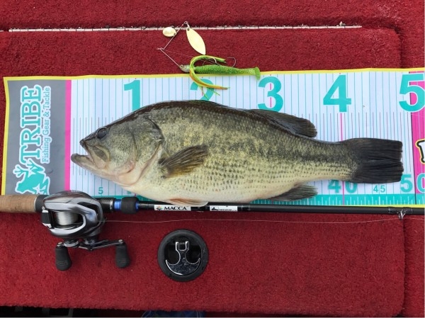 hideup 松本泰明 ブログ写真 2017/03/14