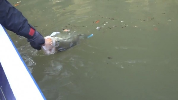 hideup 松本泰明 ブログ写真 2017/12/15