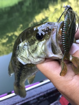 hideup 松本泰明 ブログ写真 2017/08/03