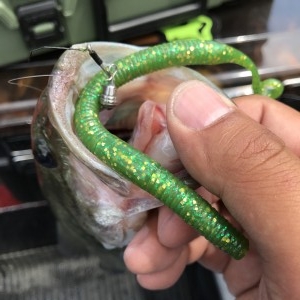 hideup 松本泰明 ブログ写真 2017/06/08