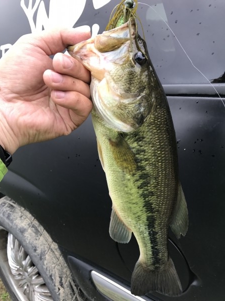 hideup 松本泰明 ブログ写真 2017/04/12