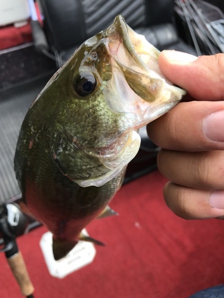 hideup 松本泰明 ブログ写真 2017/08/26