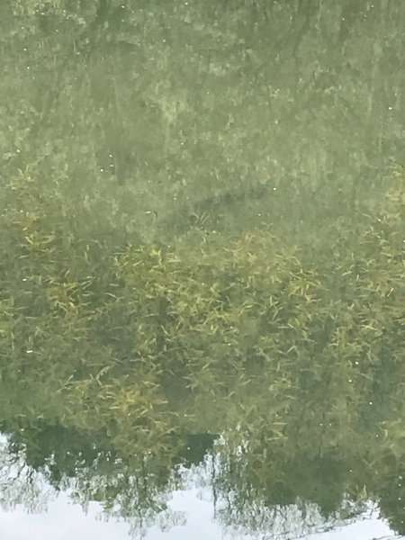 hideup 松本泰明 ブログ写真 2017/04/12