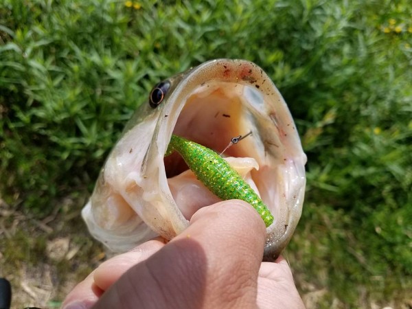 hideup 松本泰明 ブログ写真 2017/04/29