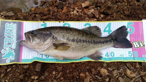 hideup 松本泰明 ブログ写真 2017/05/07