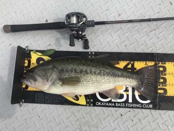 hideup 松本泰明 ブログ写真 2017/05/17