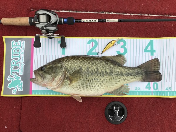 hideup 松本泰明 ブログ写真 2017/04/20