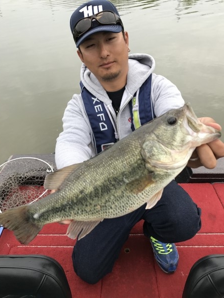 hideup 松本泰明 ブログ写真 2017/04/20