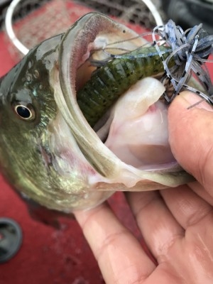 hideup 松本泰明 ブログ写真 2017/12/02