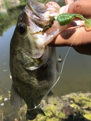 hideup 松本泰明 ブログ写真 2017/04/28