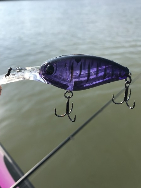 hideup 松本泰明 ブログ写真 2017/10/27