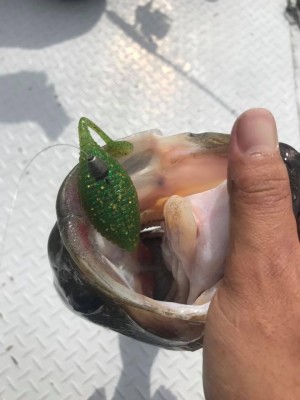 hideup 松本泰明 ブログ写真 2017/05/17