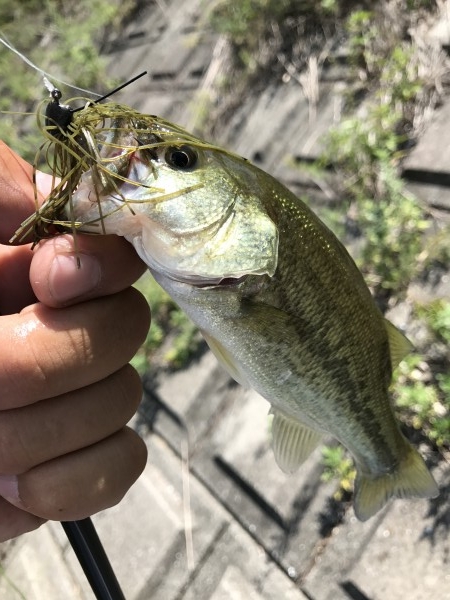hideup 松本泰明 ブログ写真 2017/08/22
