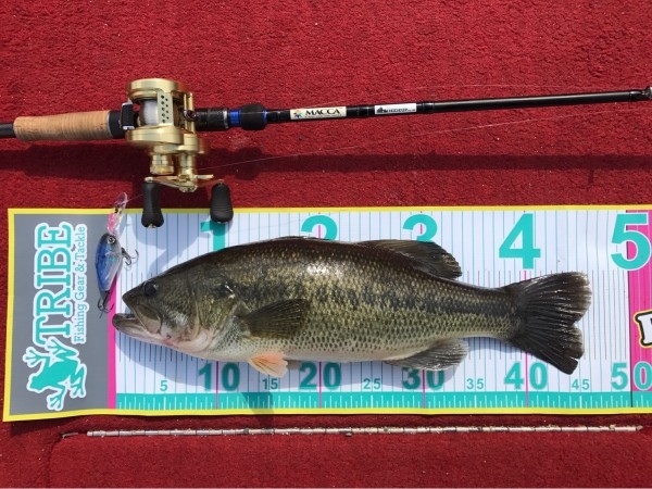 hideup 松本泰明 ブログ写真 2017/03/07