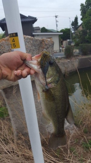 hideup 松本泰明 ブログ写真 2017/06/24