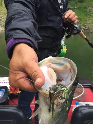 hideup 松本泰明 ブログ写真 2017/09/25