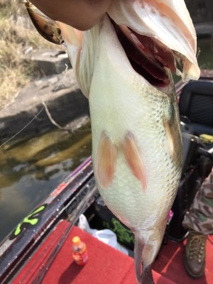 hideup 松本泰明 ブログ写真 2017/04/03