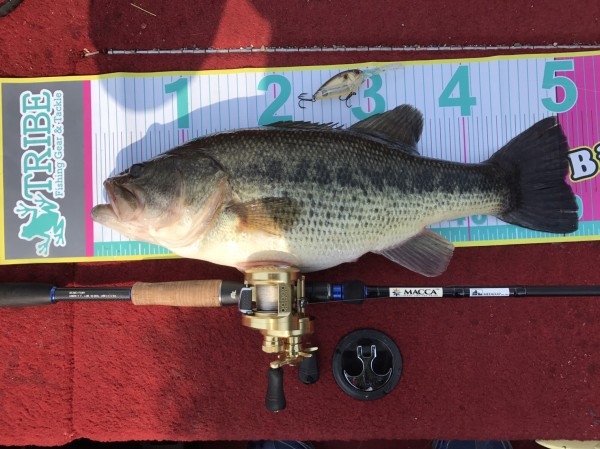 hideup 松本泰明 ブログ写真 2017/04/03