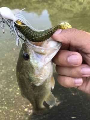 hideup 松本泰明 ブログ写真 2017/09/29