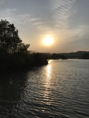 hideup 松本泰明 ブログ写真 2017/05/11