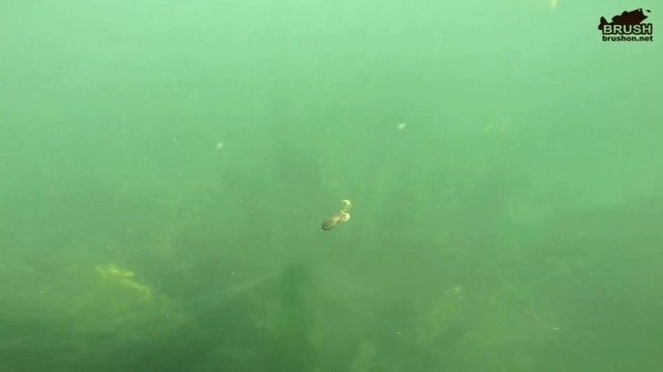 hideup 松本泰明 ブログ写真 2017/07/20