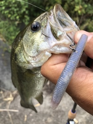 hideup 松本泰明 ブログ写真 2017/08/02