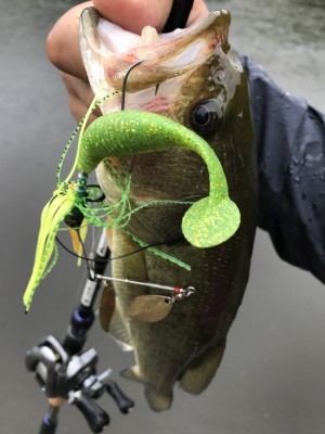 hideup 松本泰明 ブログ写真 2017/10/06