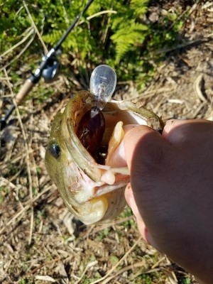 hideup 松本泰明 ブログ写真 2017/04/24