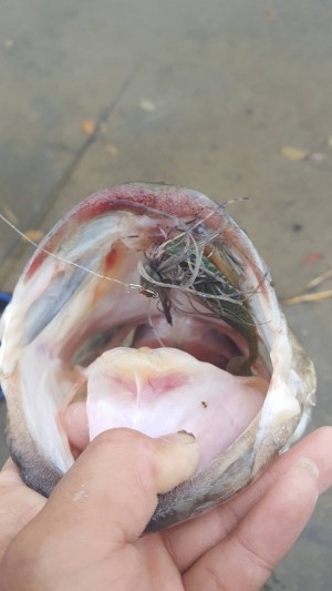 hideup 松本泰明 ブログ写真 2017/04/26