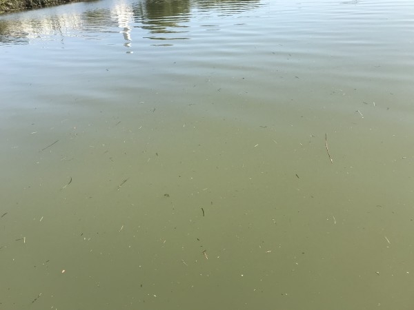 hideup 松本泰明 ブログ写真 2017/10/27