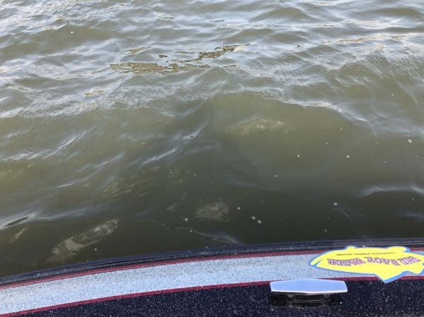 hideup 松本泰明 ブログ写真 2017/03/14