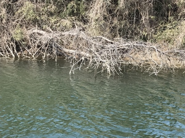 hideup 松本泰明 ブログ写真 2017/03/10